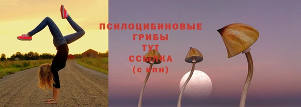 mdma Богданович