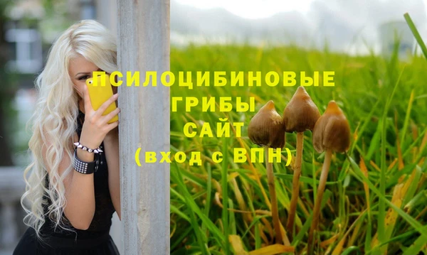 а пвп мука Бородино