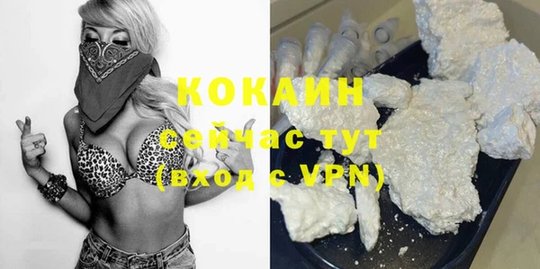 mdpv Богородицк